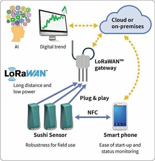smart-lora-sensor